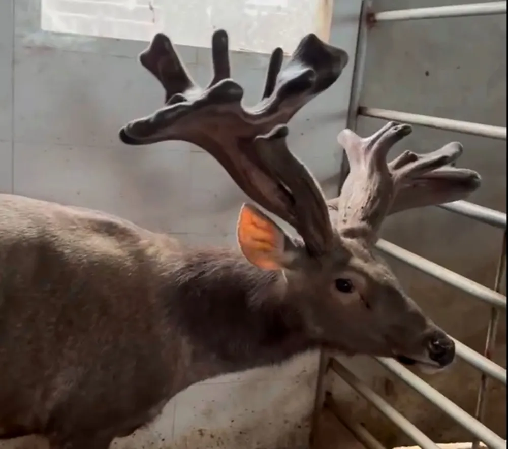 Không có tiêu đề.jpg