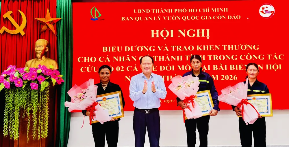 Giải cứu 2 cá thể đồi mồi quý hiếm, 3 nữ công nhân tại Côn Đảo được khen thưởng