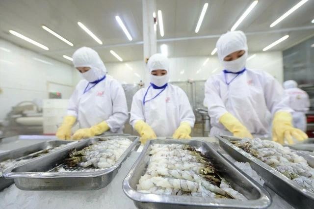 水产企业目前对增值税规定感到非常困惑。