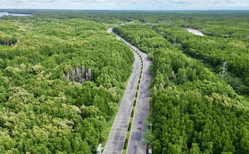 连接胡志明市与芹耶市中心之都市铁路线项目。