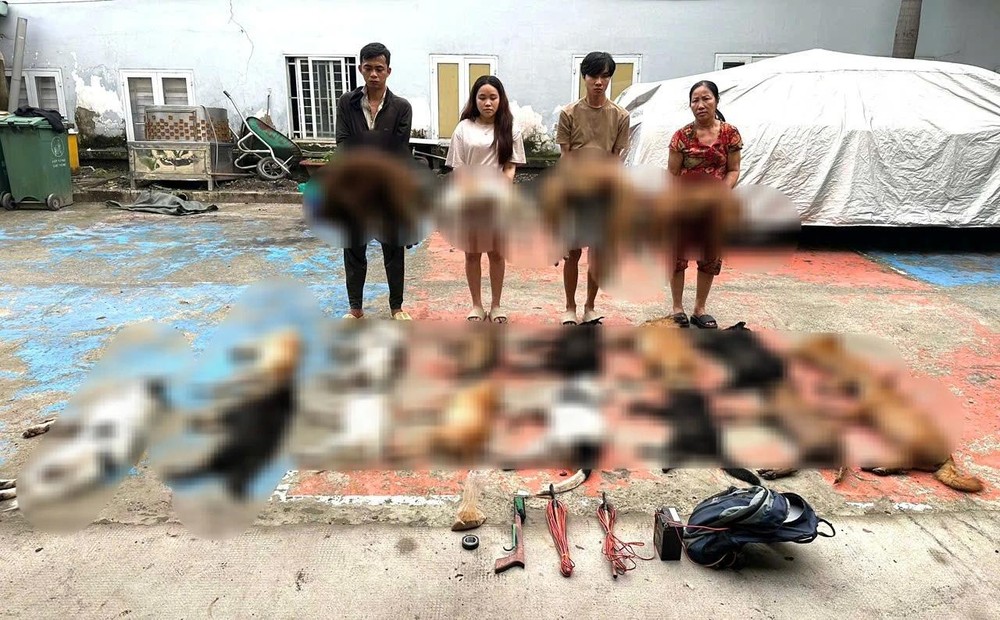 胡志明市公安厅发现并受理中美西坊偷狗与贩卖狗只团伙。