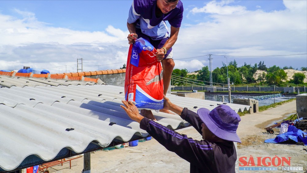 2 dasua-9-7286-9636.jpg