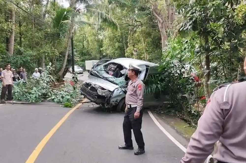 印尼巴厘岛交通事故致中国公民5死8伤。