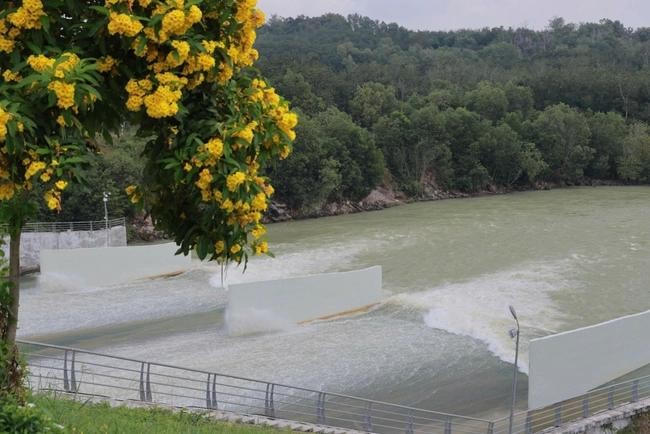  图：油汀水库的2025年第8期溢洪泄水。