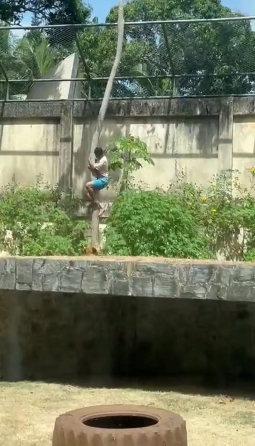 美媒报道视频截图。