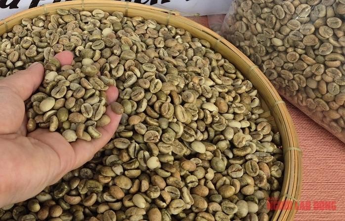 图：咖啡价格每公斤正逼近10万元关口。