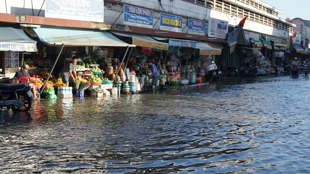 2 duy08763-8231-300.jpeg