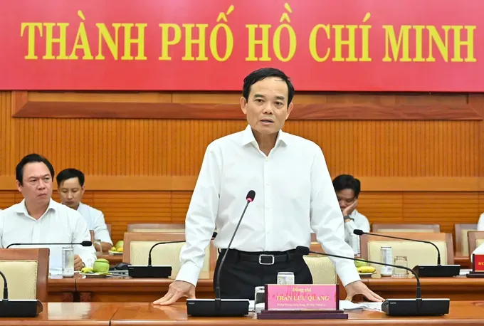 胡志明市市委书记陈留光主持会议。