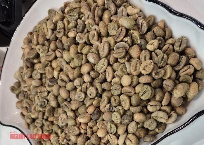 咖啡价格在每公斤10万元和每吨4000美元左右波动。