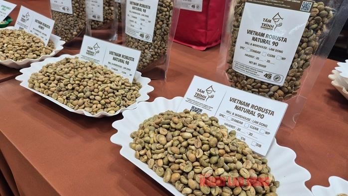  越南罗布斯塔咖啡。