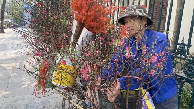河内市民运送春节桃花到该市咸龙街出售。