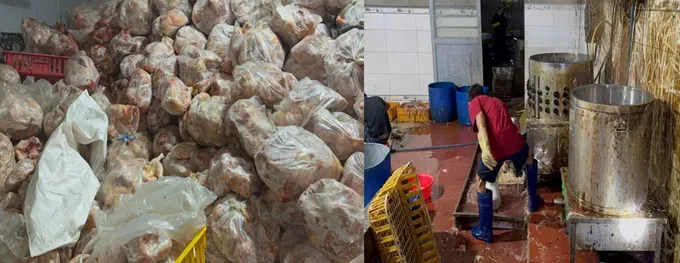 庆和省查获逾10吨来源不明鸡肉。