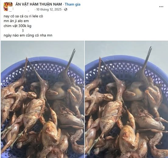 阿O在社交网兜售无合法证件的野生鸟。