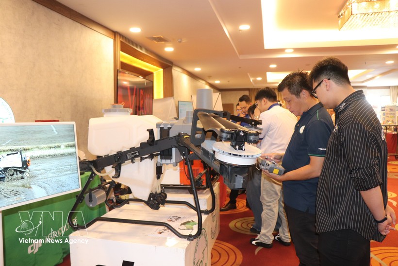 芹苴市全面促进科技创新。