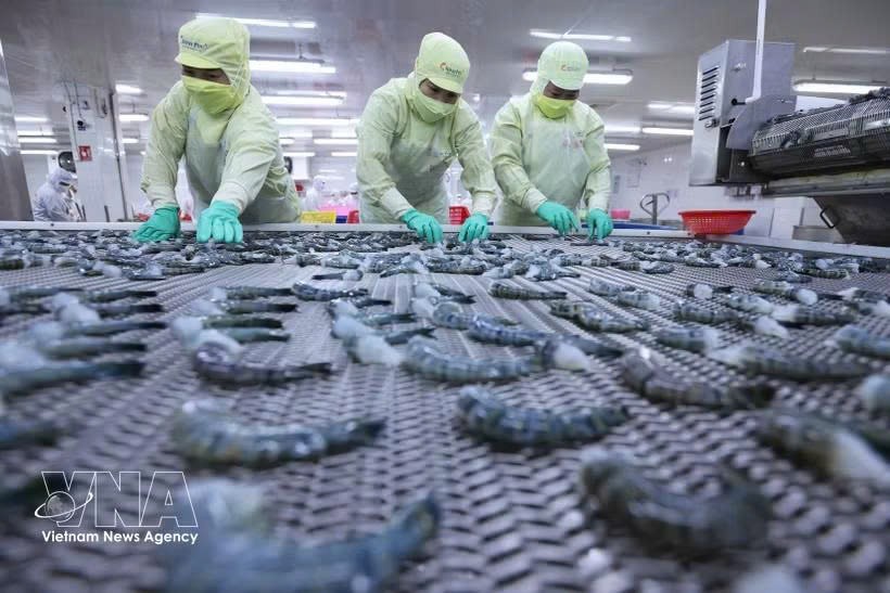 一季度越南水产品出口增长8%。