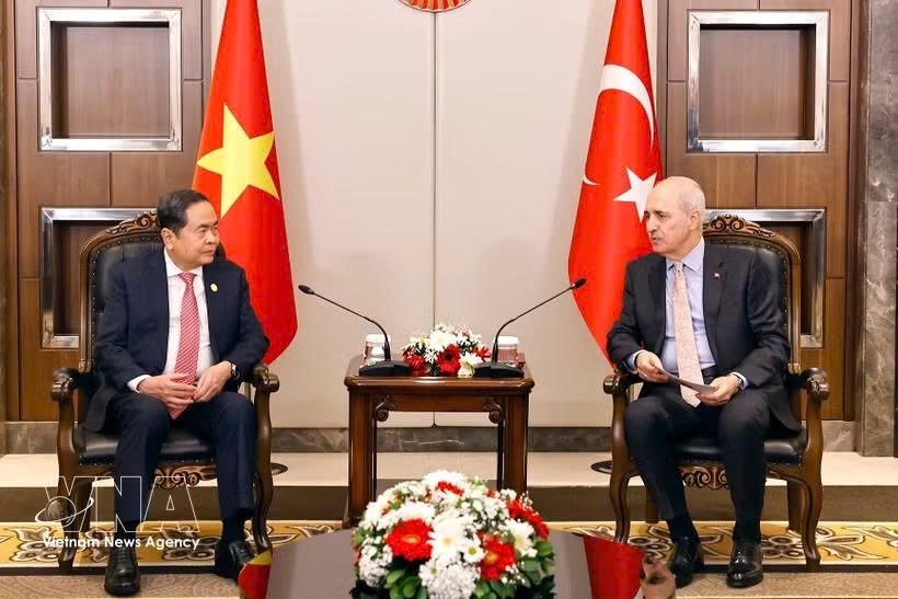 越南国会主席陈青敏会见土耳其大国民议会议长努曼·库尔图尔穆什。
