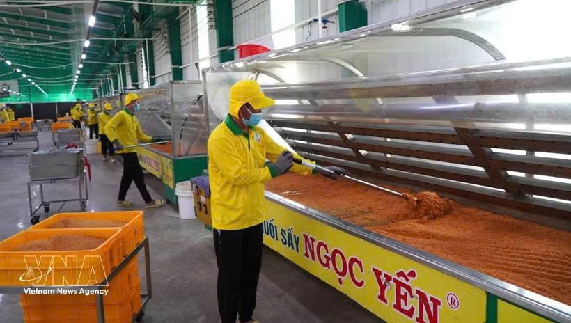 2025年越南小型企业呈现积极增长态势，84%的企业实现增长。