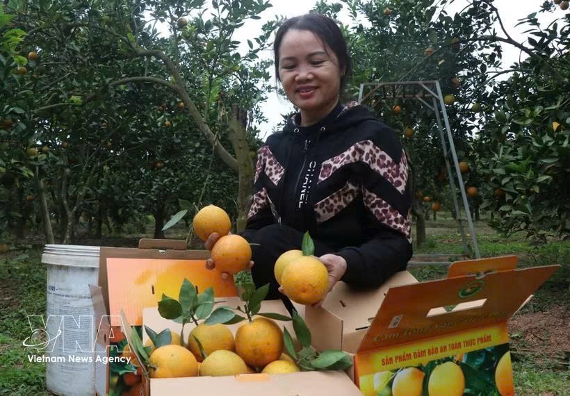 越南仍是美国最大的木制家具供应国，出口额13亿美元。