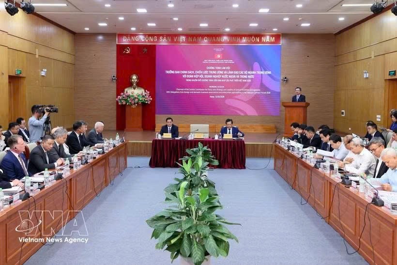 党中央政治局委员、党中央书记处书记、中央政策战略部部长阮青毅在会上发表讲话。 