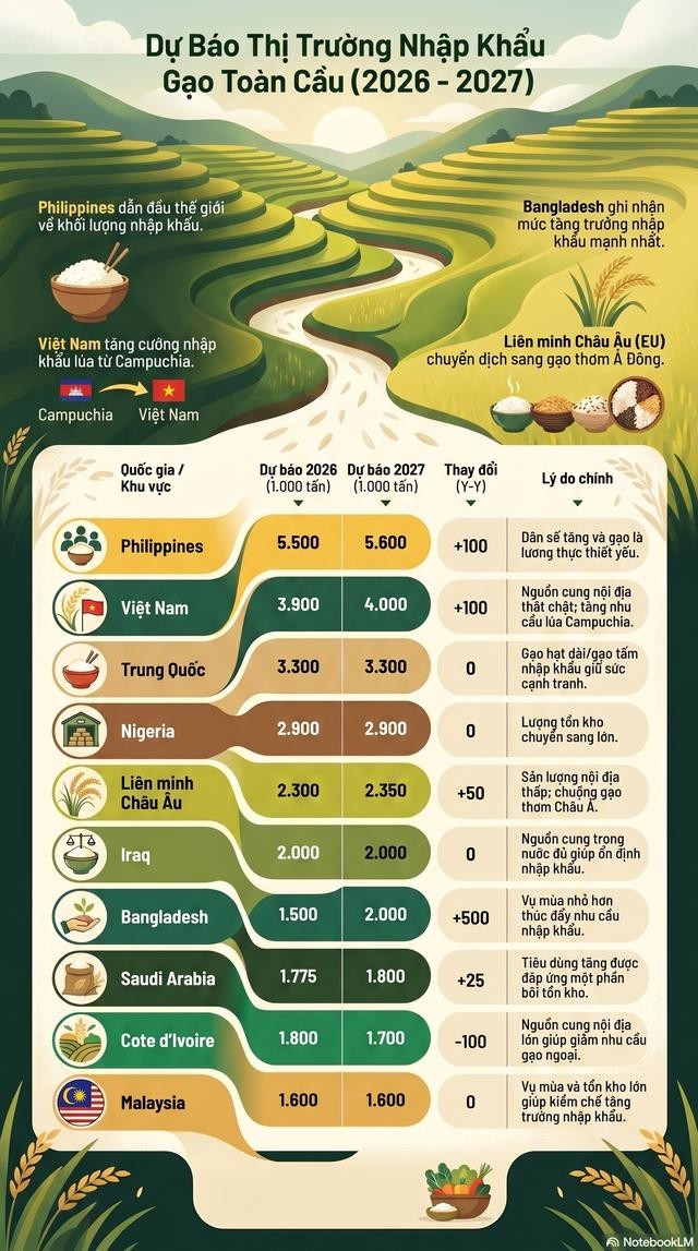 信息来源：美国农业部（USDA）。