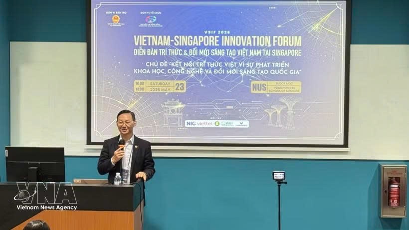 越南驻新加坡大使陈福英在论坛上发言。