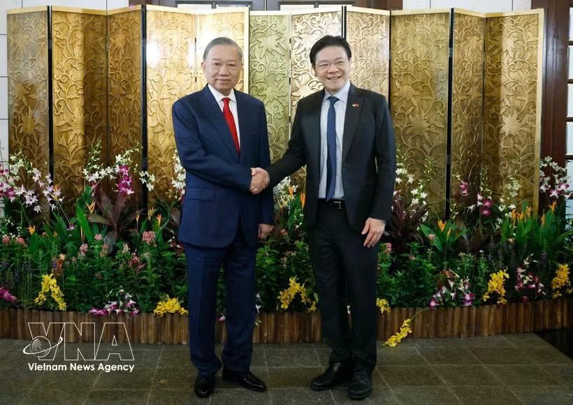 越南党中央总书记、国家主席苏林与新加坡总理黄循财举行了会谈。