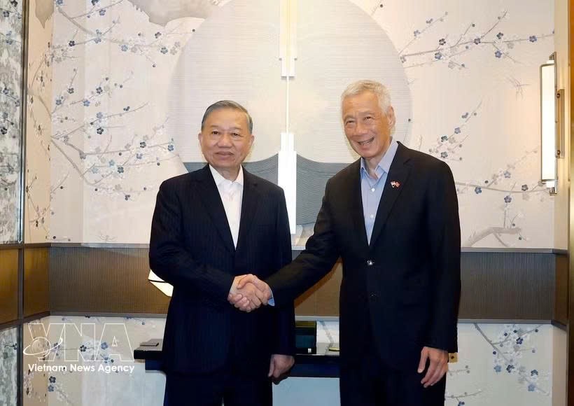 越南党中央总书记、国家主席苏林会见新加坡前总理李显龙。