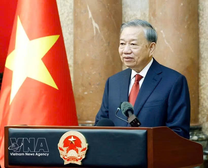 越南党中央总书记、国家主席苏林。