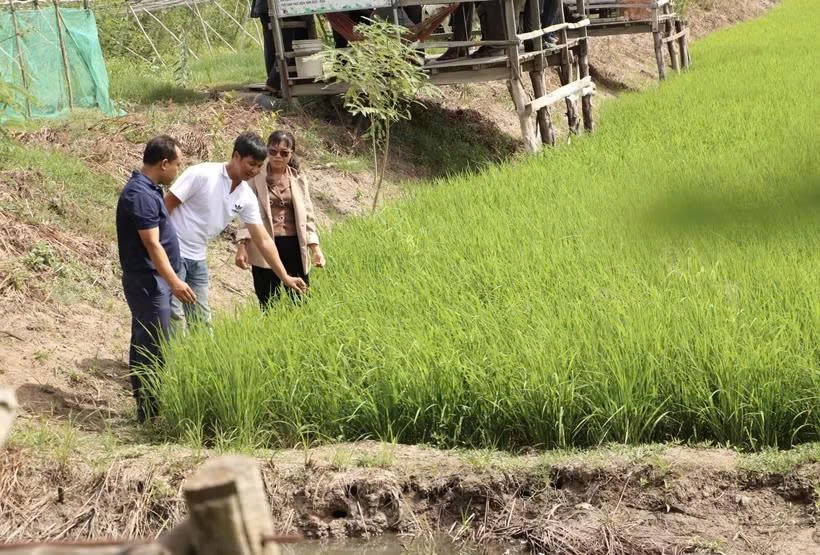农民们在田间地头互相学习生产经验。