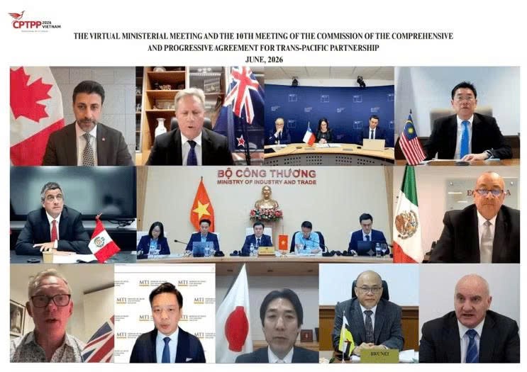 CPTPP各成员国部长及代表出席会议。多边贸易政策司供图。