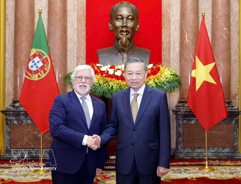 党中央总书记、国家主席苏林与葡萄牙大使。图自越通社
