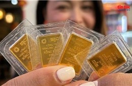 8月2日上午金价保持稳定，管理政策继续收紧。