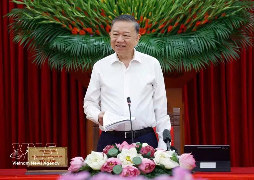 党中央总书记、国家主席苏林主持召开指委会第一次会议。图自越通社