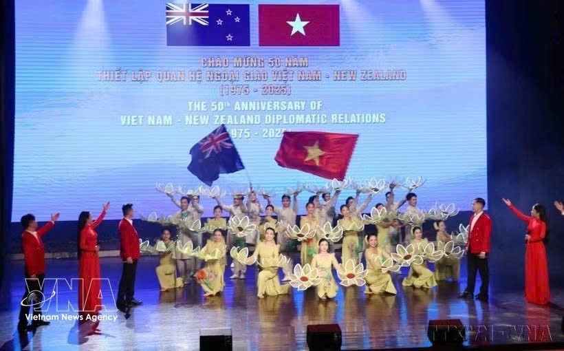 越南与新西兰建交50周年纪念活动。图自越通社