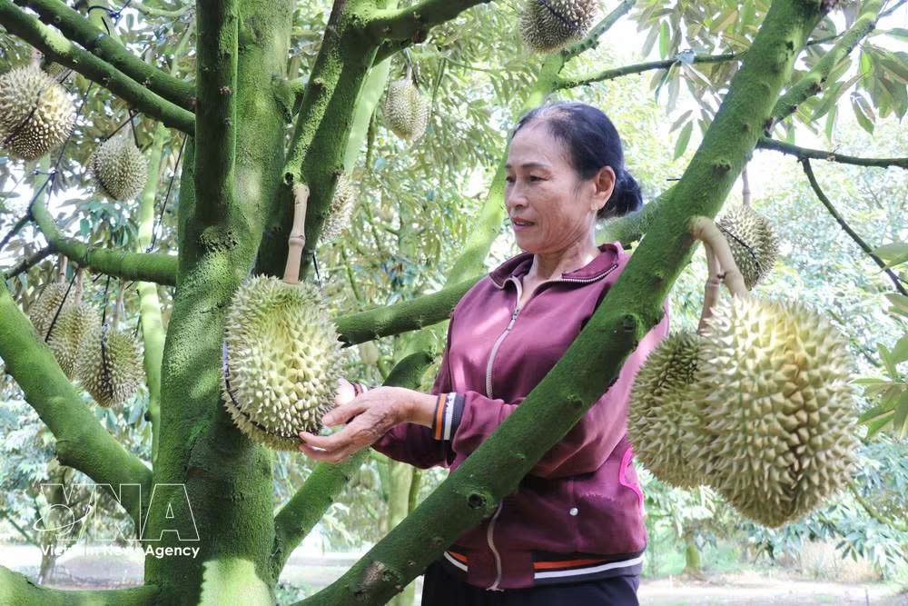lam-dong-tao-dong-luc-moi-cho-xay-dung-nong-thon-sau-hop-nhat.jpg
