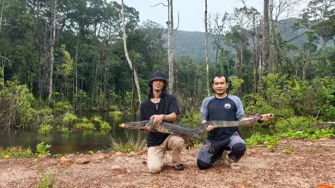 黄忠通与阮清平配合职能力量将这只水巨蜥个体放归森林。