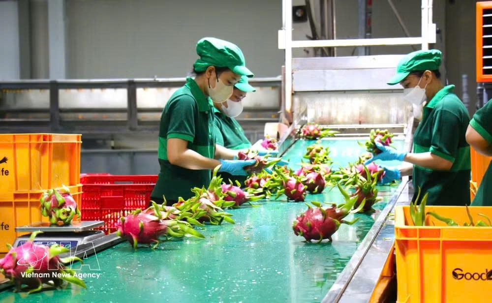 nganh-nong-nghiep-tp-ho-chi-minh-tang-toc-cho-muc-tieu-tang-truong-hai-con-so-8904634-2.jpg