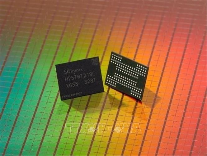 chip-300826-1.jpg