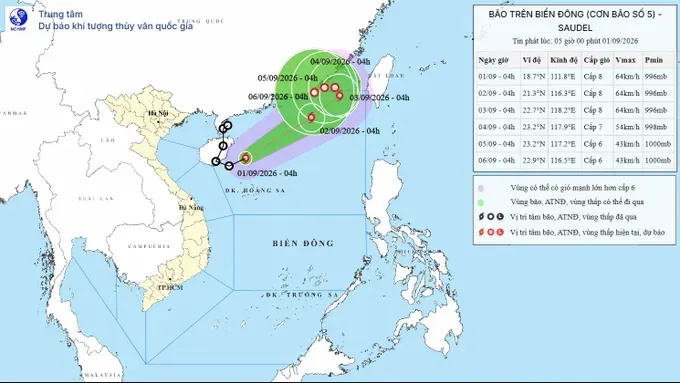 9月1日清晨5号台风中心位置。图源：国家气象水文预报中心。