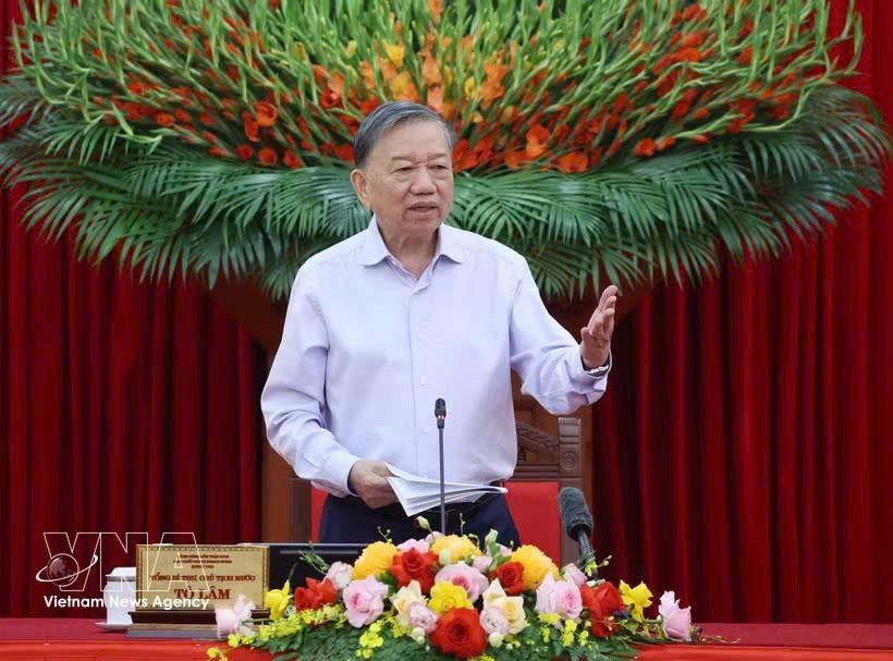 党中央总书记、国家主席、指导委员会主任苏林主持会议。图自越通社