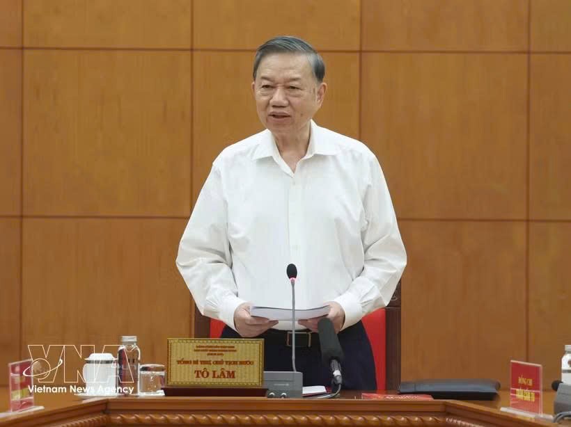 党中央总书记、国家主席苏林发表讲话。图自越通社