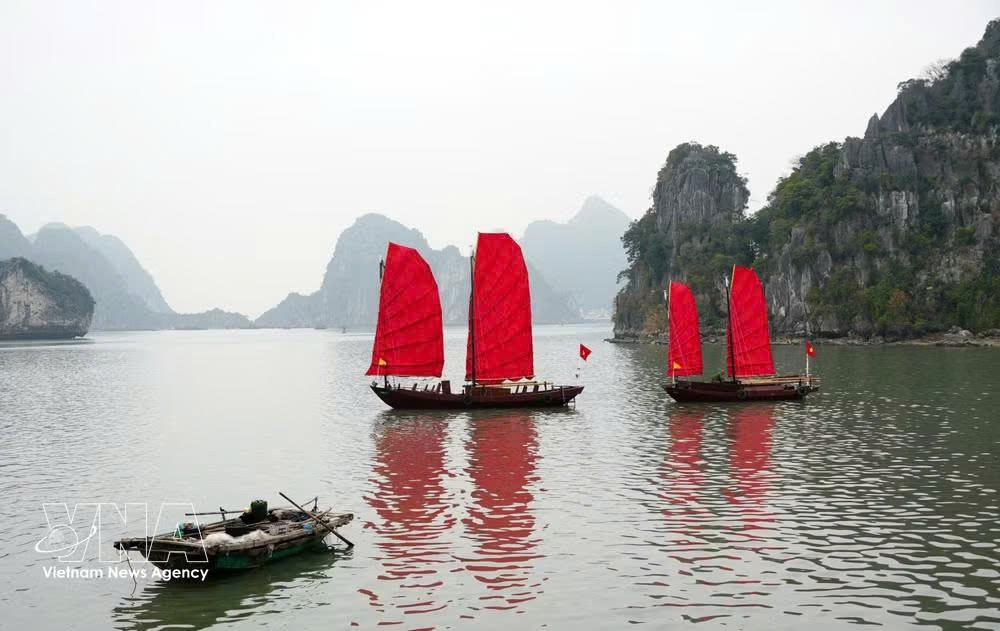 phuc-dung-3-thuyen-buom-do-tren-vinh-ha-long.jpg