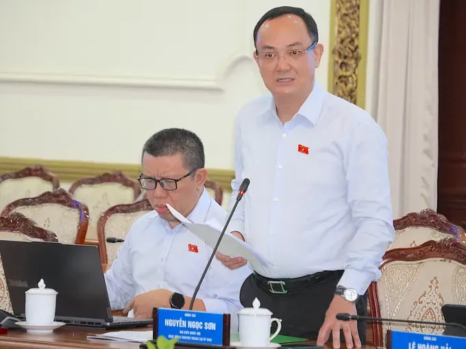 2-Thành viên đoàn góp ý cho UBND TPHCM tại buổi giám sát.jpg