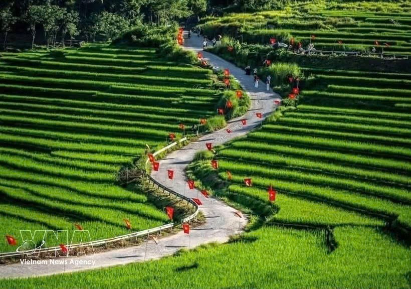 "九‧二"国庆假期，浦良生态旅游区一条道路上插满金星红旗吸引游客前来打卡。图自越通社