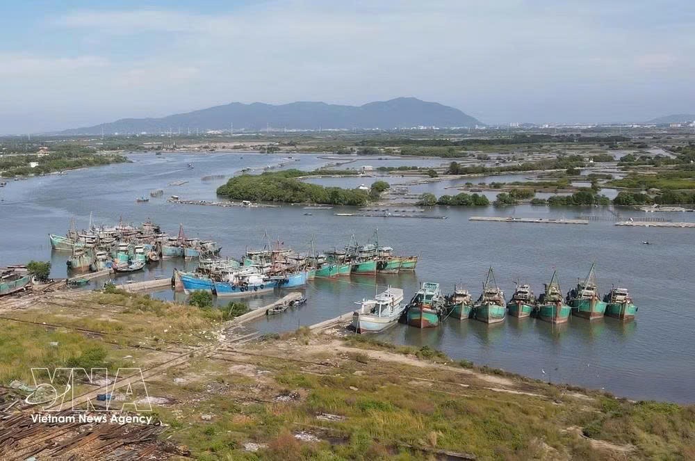 potal-tp-ho-chi-minh-don-luc-go-the-vang-iuu-2.jpg