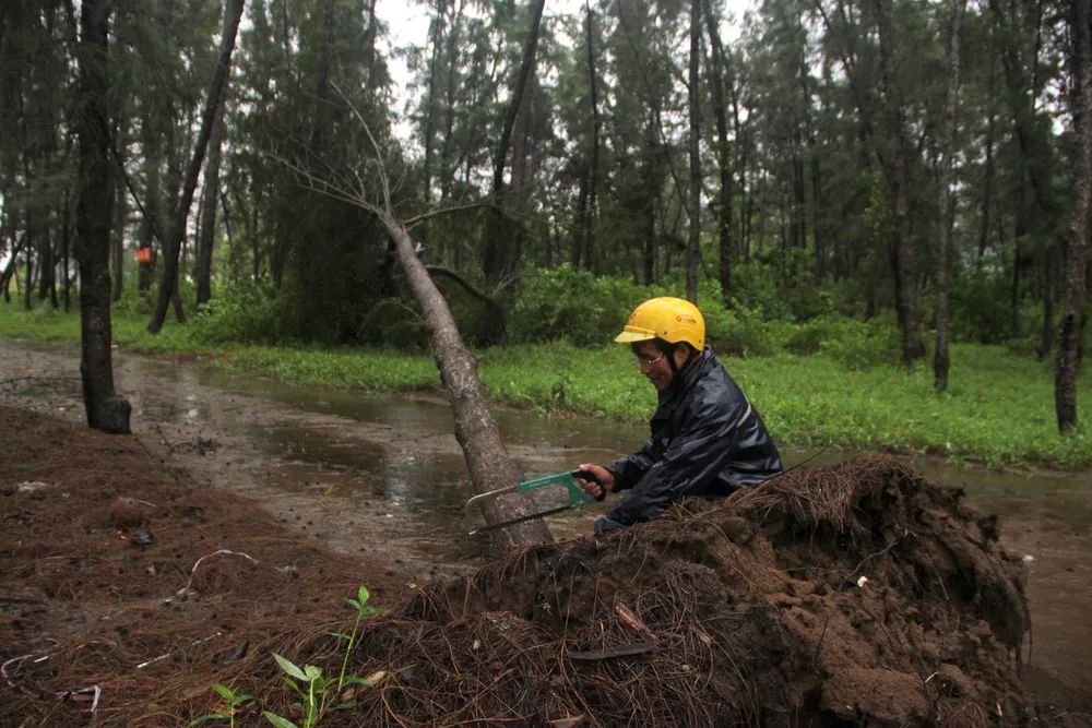 Bến Tre chỉ chịu áp thấp, học sinh đi học ngày mai 26-11 ảnh 2