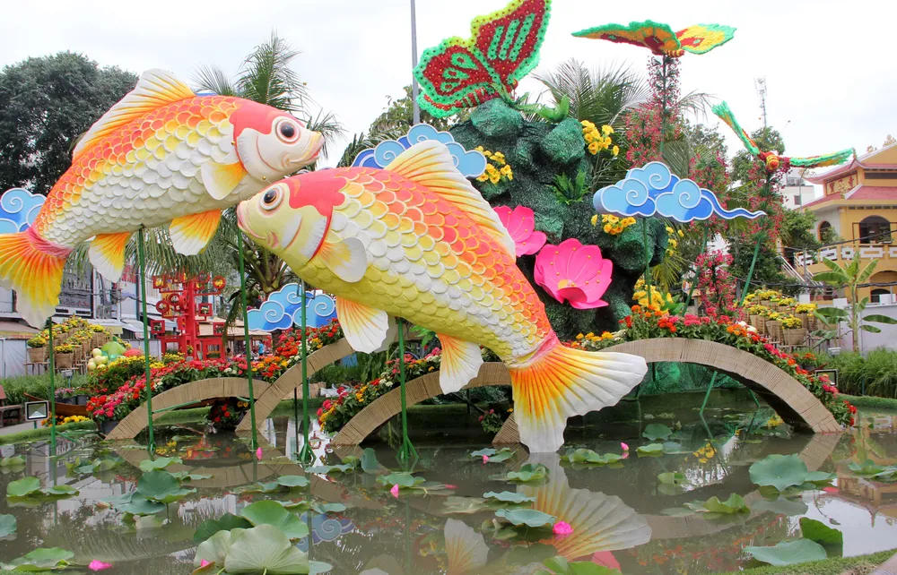 Đường hoa Cần Thơ rực rỡ trước giờ mở cửa ảnh 10