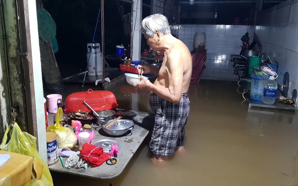 Áp lực triều cường làm vỡ đê cạnh sông Hậu ảnh 3