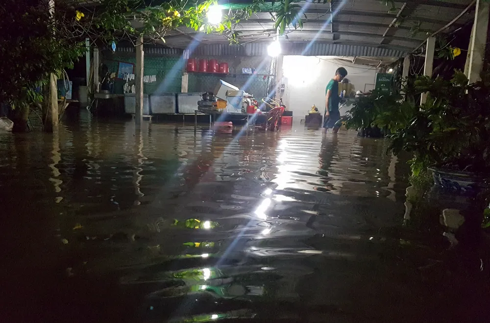 Áp lực triều cường làm vỡ đê cạnh sông Hậu ảnh 5