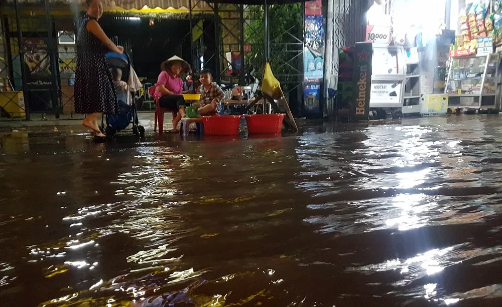 Áp lực triều cường làm vỡ đê cạnh sông Hậu ảnh 7